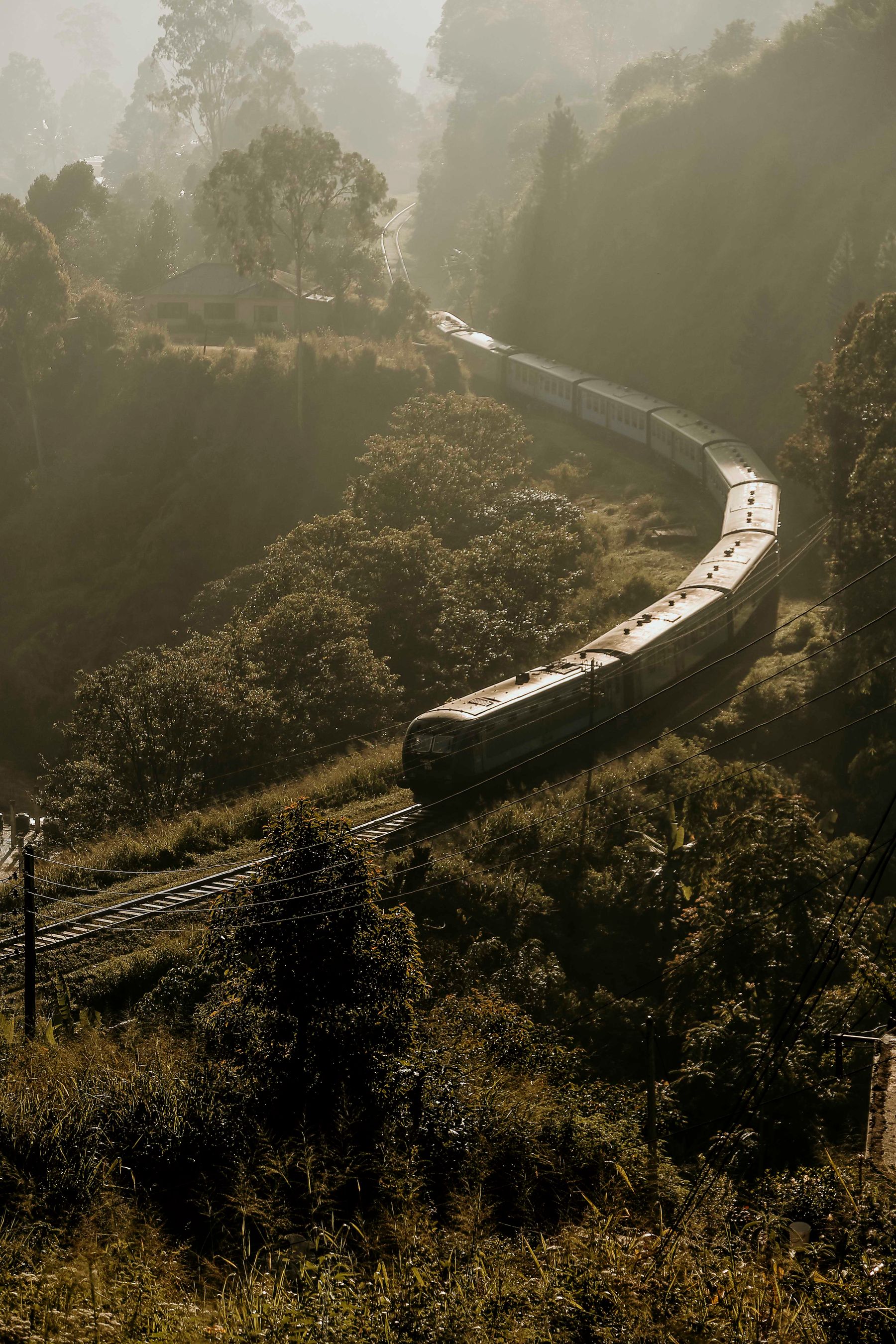 Train winding through Sri Lanka's green hill country